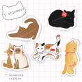 Pack de stickers - Chats